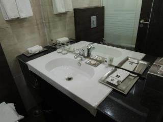 Comfort Inn Anneha New Delhi Eksteriør billede